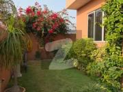 1 Kanal Corner House With 16 Marla Lawn. D 12
