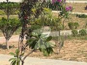 1 Kanal Corner Plot for Sale Sector B3, Phase 6,...