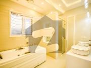 1 Kanal Elegant And Fully Maintained Super Hot Located...