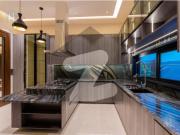 Fully furnshed 1 kanal elegant house for sale near to...