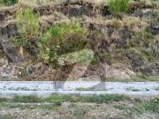 1 Kanal Front Park Awesome Location Level Plot Available...