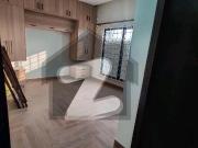 1 Kanal House Available For Rent In PHAF Officer...