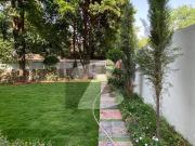 1 Kanal House In Imran Khan Chowk