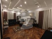 1 Kanal Lower Basement Portion For Rent