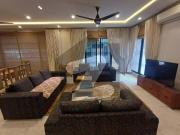 1 Kanal Luxury Furnished House For Rent Ideal For...