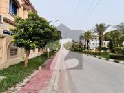 1 Kanal Corner House Available For Rent In Phase 3...