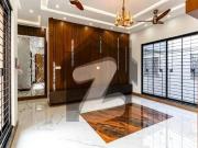 1 Kanal Magnificent Lower Portion On Top Location For...