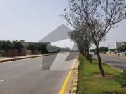 Looking For A Residential Plot In Islamabad