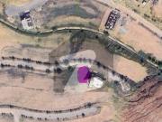 1 Kanal Plot DHA 3 Sec B street 56