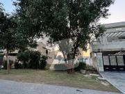 1 Kanal Plot for Sale Near McDonalds & Park, Y Block...