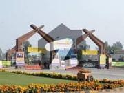 1 Kanal Plot For Sale Poll Free Side Very Hot Location...