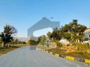 1 Kanal Plot Main Double Road Prime Location D 12 4
