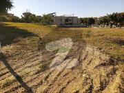 1 Kanal Plot With Extra Land Sector F