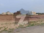 1 Kanal Plot On Principal Road, Extra Green Land