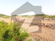 1 Kanal Residential Plot In C 14 Best Option