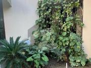 1 Kanal Single Storey Beautiful House For Sale Bahadurpur