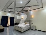 1 Kanal Single Storey House For Rent IEP Engineers Town...
