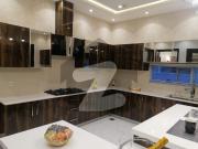 1 Kanal Stylish Bungalow For Rent In DHA Phase 7...