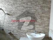 10 Marla House With Basement For Rent In DHA Phase 5...