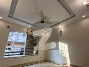 1 Kanal Triple Story House Available For Rent In G 13/4