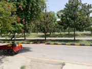 1 Kanal upper portion for rent