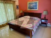 1 Kanal Upper Portion Fully Furnished Available For Rent 1 Kanal Upper Portion Fully Furnished Available For Rent