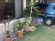 1 Kanal Used Beautiful House Available For Rent In DHA...