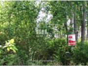 1 quarto, Abrantes Abrantes 92566336