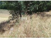 1 quarto, Caminha Caminha 95489010