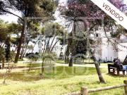 1 quarto, Cascais Cascais 87349759
