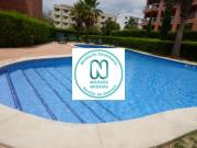 1 quarto, Faro Portimão 8500 97904864