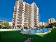 1 quarto, Faro Portimão 8500 98016775