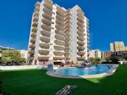 1 quarto, Faro Portimão 8500 98016776