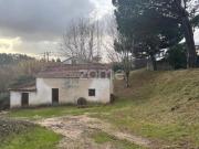 1 quarto, Figueira da Foz Figueira da Foz 98963657