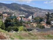 1 quarto, Funchal Funchal 95902813