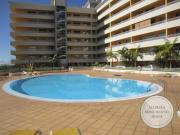 1 quarto, Funchal Funchal 96199306