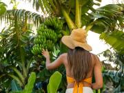 1 quarto, Funchal Funchal 96266332