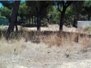 1 quarto, Loulé Loulé 8135 011 98779660