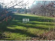 1 quarto, Maia Maia 95879377