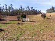 1 quarto, Ponte de Lima Ponte de Lima 98115441