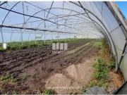 1 quarto, Póvoa de Varzim Póvoa de Varzim 95000041