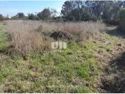 1 quarto, Póvoa de Varzim Póvoa de Varzim 97119430