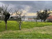 1 quarto, Viana do Castelo Viana do Castelo 84814653