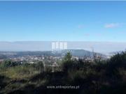 1 quarto, Viana do Castelo Viana do Castelo 94222825