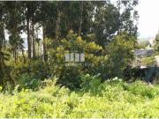 1 quarto, Viana do Castelo Viana do Castelo 96067689