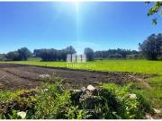 1 quarto, Viana do Castelo Viana do Castelo 97845696