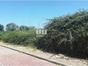 1 quarto, Viana do Castelo Viana do Castelo 99717404