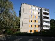 1 Raum Wohnung für günstigen Preis