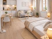 1 Raum Wohnung möbliert an der TU Dresden