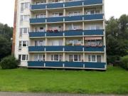 1 Raumwohnung nahe des Stadtwaldes für Senioren!